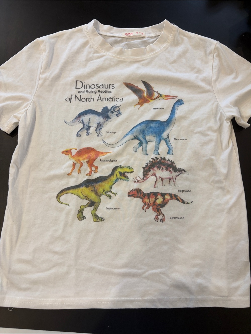 Womens White Dinosaur Graphic Tee - Dinosaurs of North America